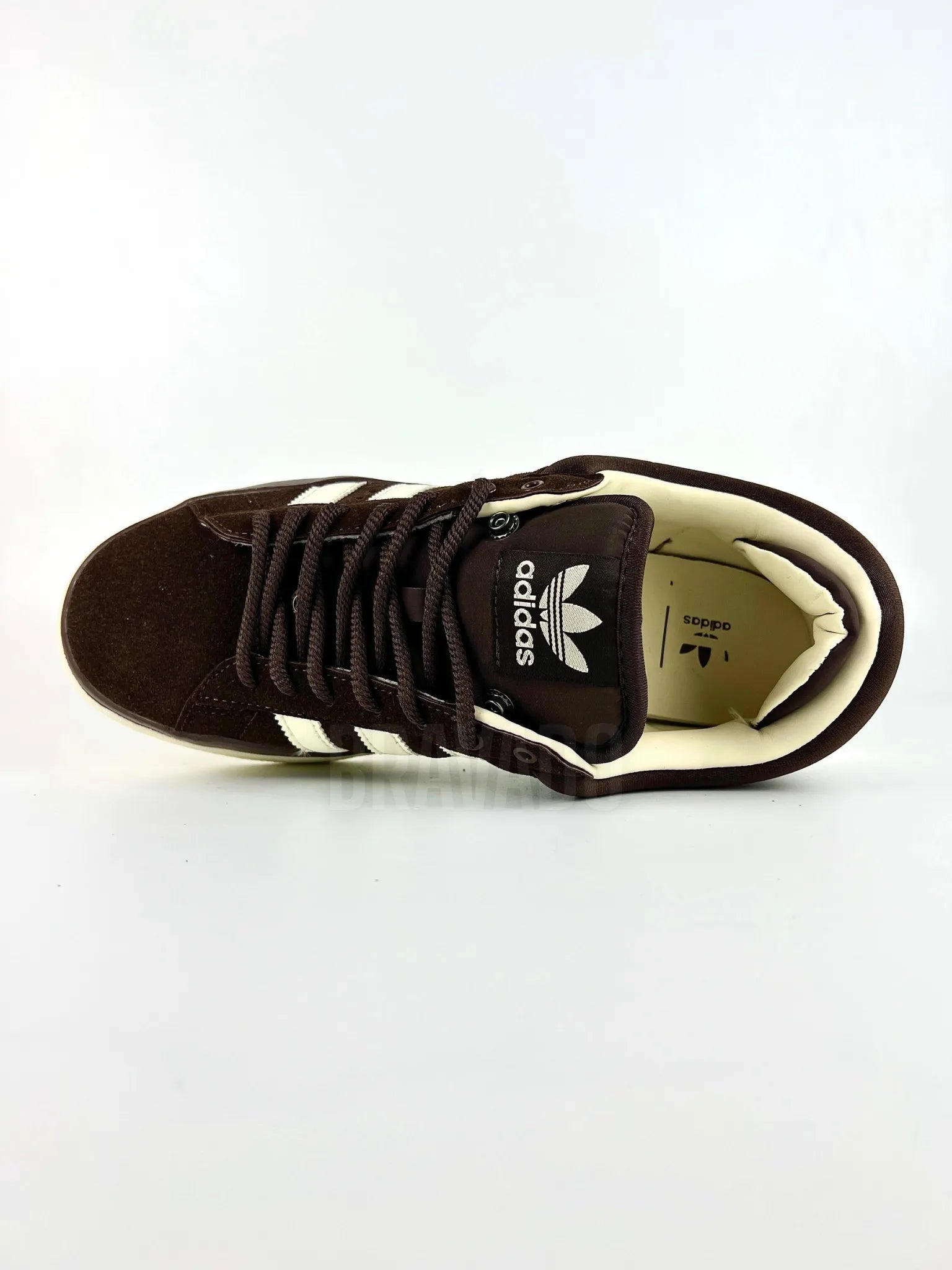 Campus BadBunny Deep Brown