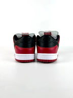 SB Dunk Low Chicago